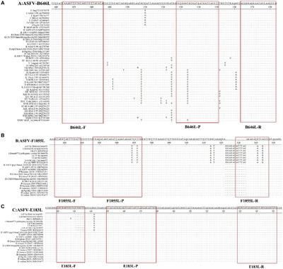 Development of a triplex real-time quantitative PCR for detection and differentiation of genotypes I and II African swine fever virus